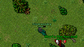 Nowansky on screen