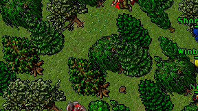 Winberager on screen