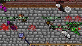 Marin Cleo on screen