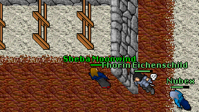 Sheba Moonwind on screen