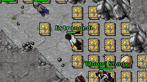 Estrangedi on screen