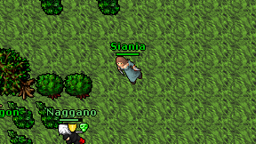 Siania on screen