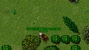 Stolnik Horeszko on screen