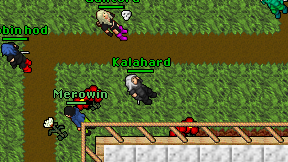Kalahard on screen