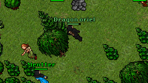 Dragon oriel on screen