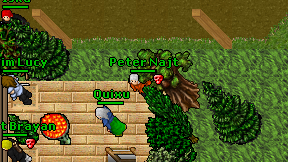 Peter Najt on screen