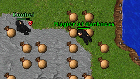 Magier of darkness on screen