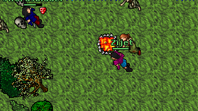 Zijet on screen