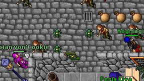 Magic Elementalist on screen