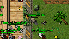 Dragao de Ha on screen