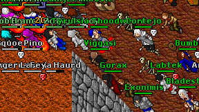 Viggasi on screen