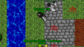 Dziub'ek on screen