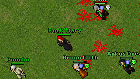 Rock'Mary on screen