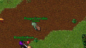 Puga Gordin on screen