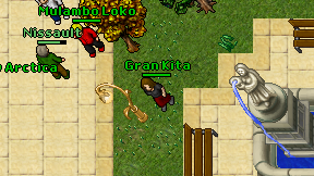 Gran Kita on screen