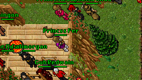 Princss Fer on screen