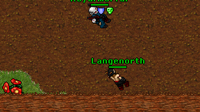Langenorth on screen