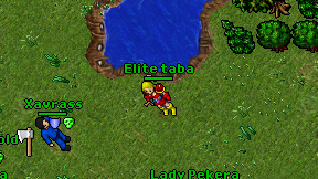 Elite taba on screen