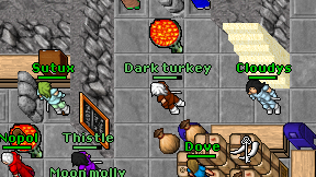 Dark turkey on screen