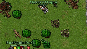 Maserattiqpa on screen