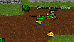 Fenix Exeros on screen