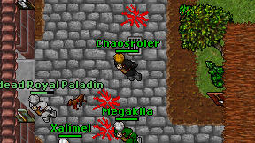 Chaosroler on screen