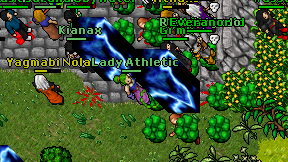 Lady Athletic on screen