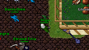 Jiiga on screen