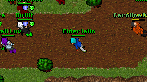 Elder lalin on screen