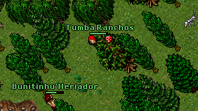 Tumba Ranchos on screen