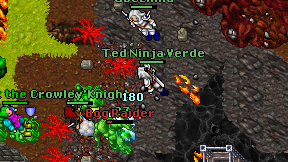 Ted Ninja Verde on screen