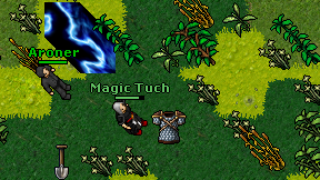 Magic Tuch on screen