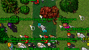 Bevunew on screen