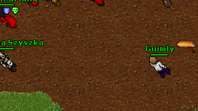 Guimly on screen