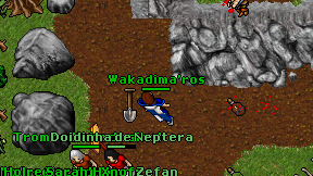 Wakadima'ros on screen