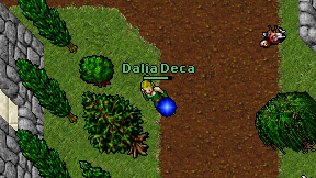 Dalia Deca on screen