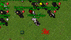 Ninha Mage on screen