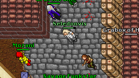 Seledonvis on screen