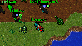 Besouro on screen