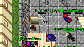 Hemvik on screen