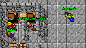 Elven Huntress on screen