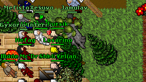 Losarino on screen