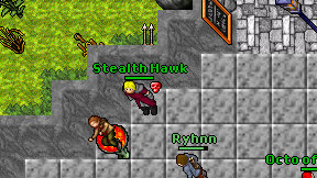 Stealth Hawk on screen