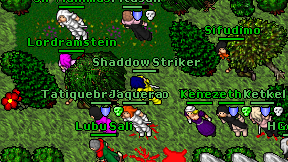Shaddow Striker on screen