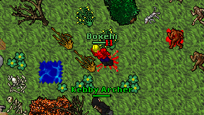 Boxehi on screen