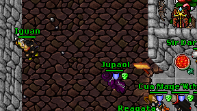 Iguan on screen
