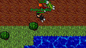 Polly Brilla on screen