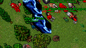 Leaf Thin on screen