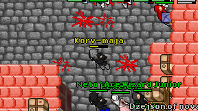 Korv-maja on screen