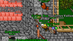 Estivi on screen